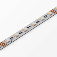 HALEMEIER Versa Inside MaxiColor 24VDC RGBW PnP