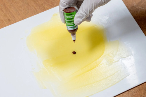 Artikelbild