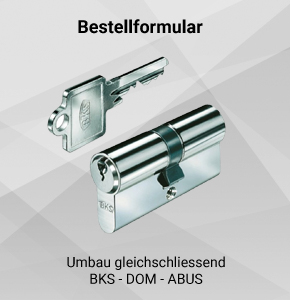 Profilzylinder Gleichschließend